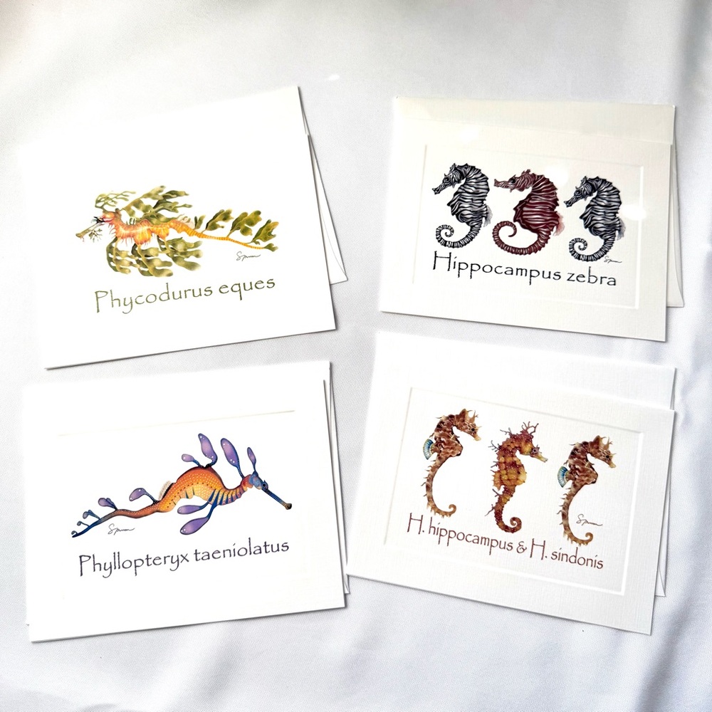 Seahorse conservation greeting cards set of four